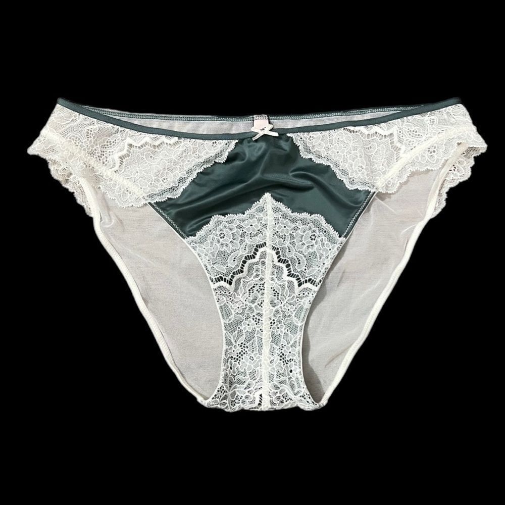 Victorias Secret Dream Angels floral Lace & Sheer Mesh Cheekini panty Large